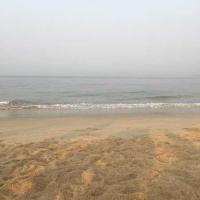 Velsao Beach Photo 1