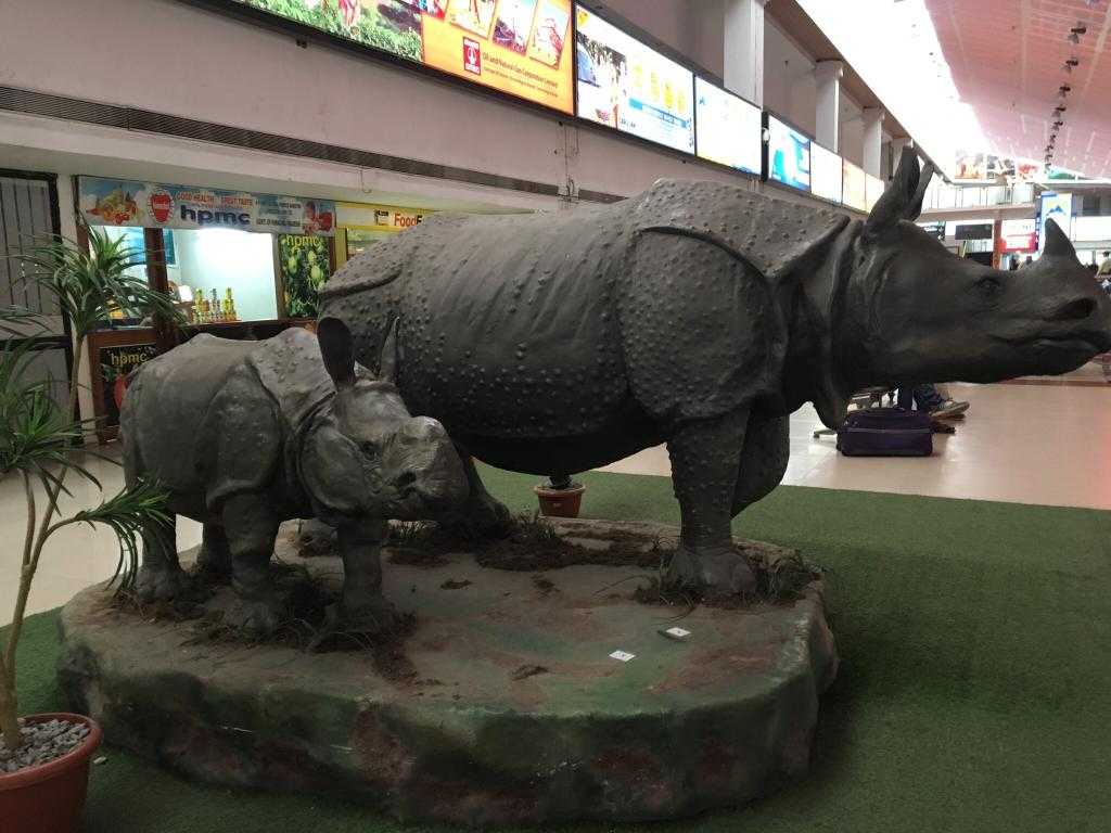 Fancy Bazaar Photo 1