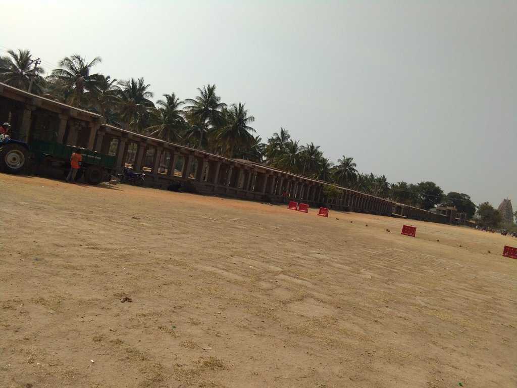 Monolith Bull Photo 2