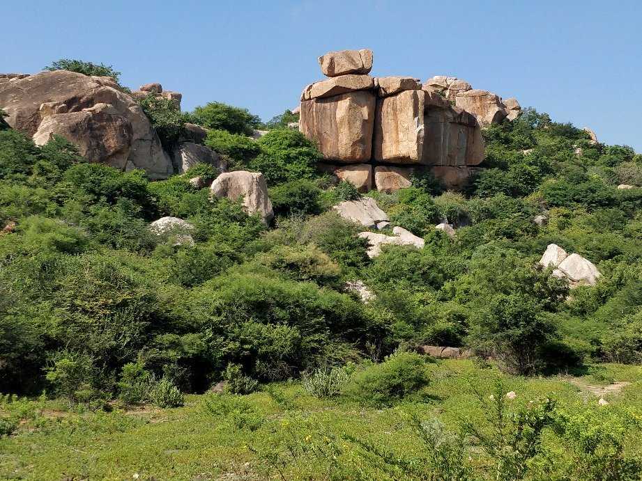 Purandaradasa Mantapa Photo 2