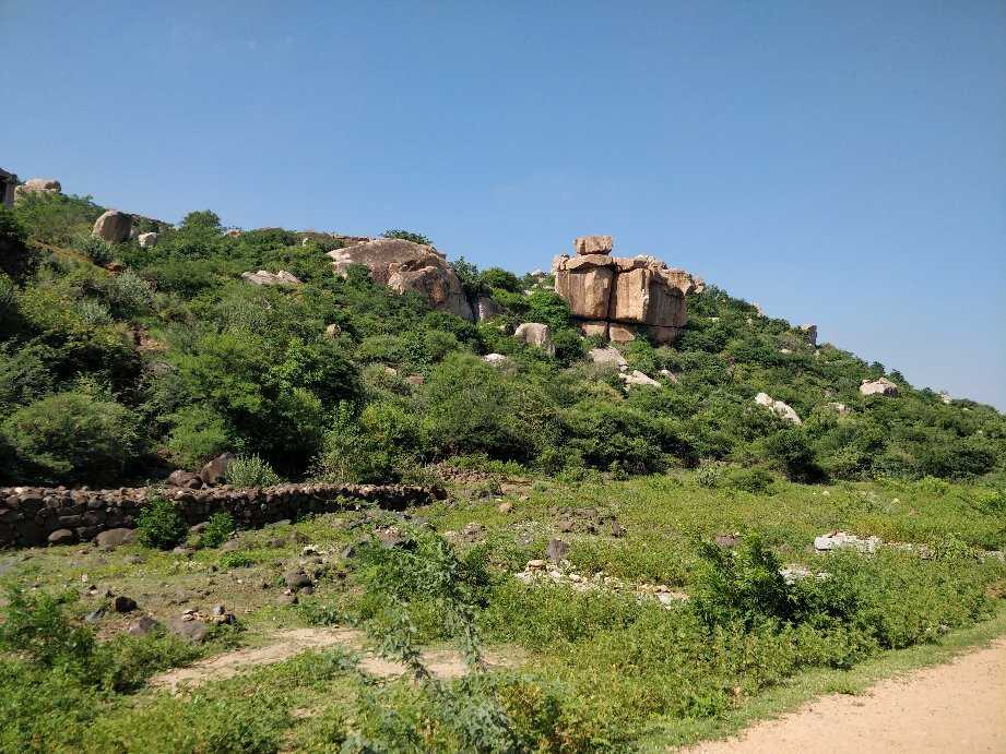 Purandaradasa Mantapa Photo 3