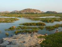 Tungabhadra River Photo