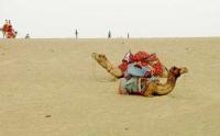 Sam Sand Dunes Photo 2