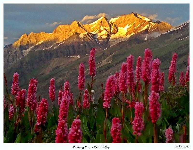 Rohtang Pass Photo 2