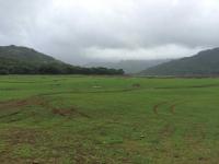 Della Adventure Photo 3