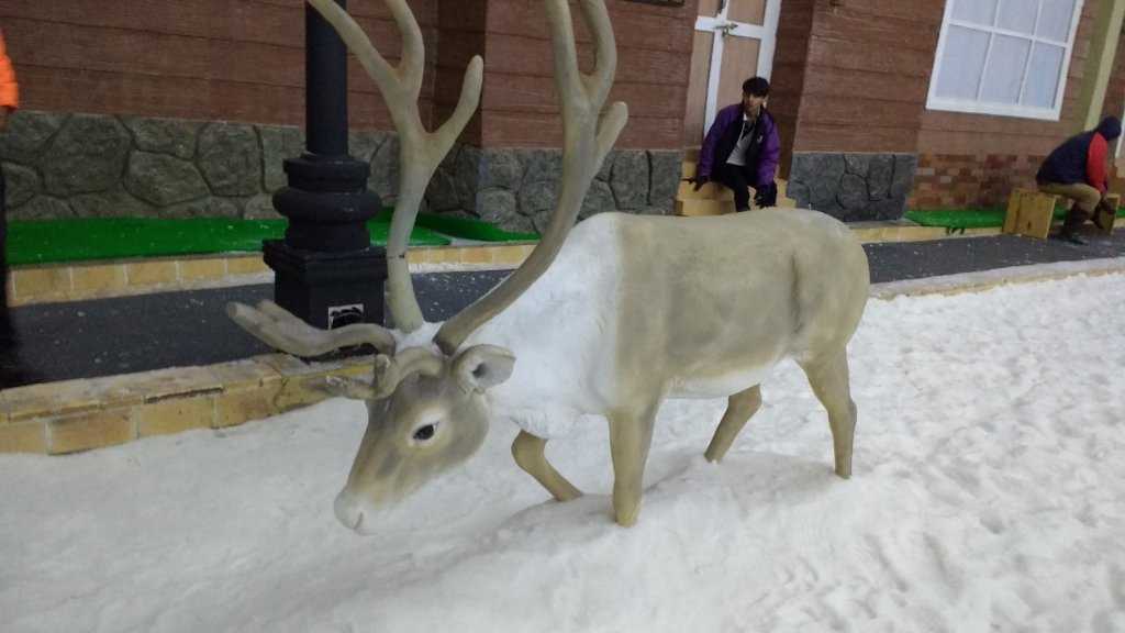 Imagica Snow Park Photo 2