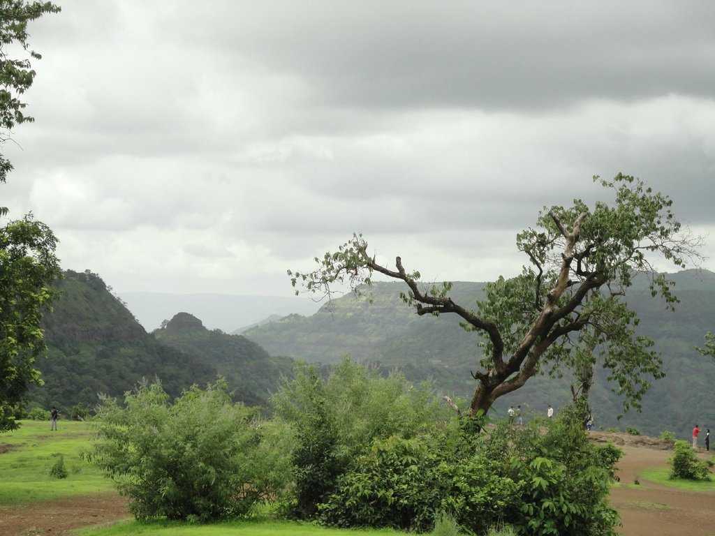 Shooting Point Photo 1