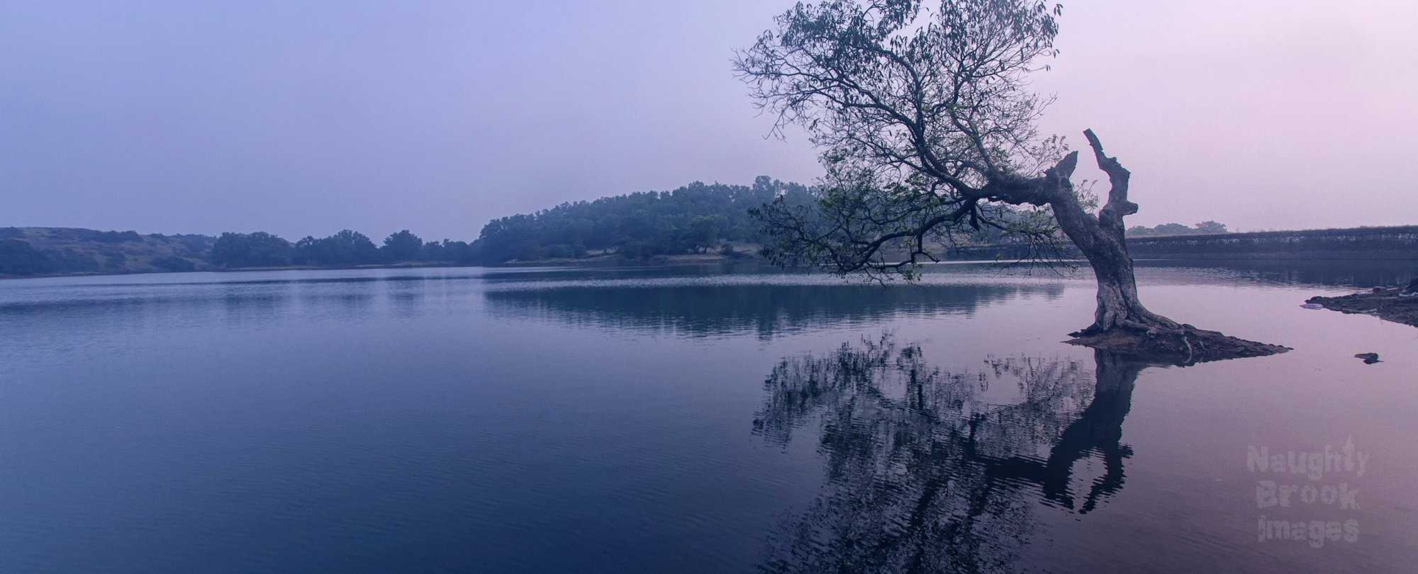 Tungarli Lake Photo 2