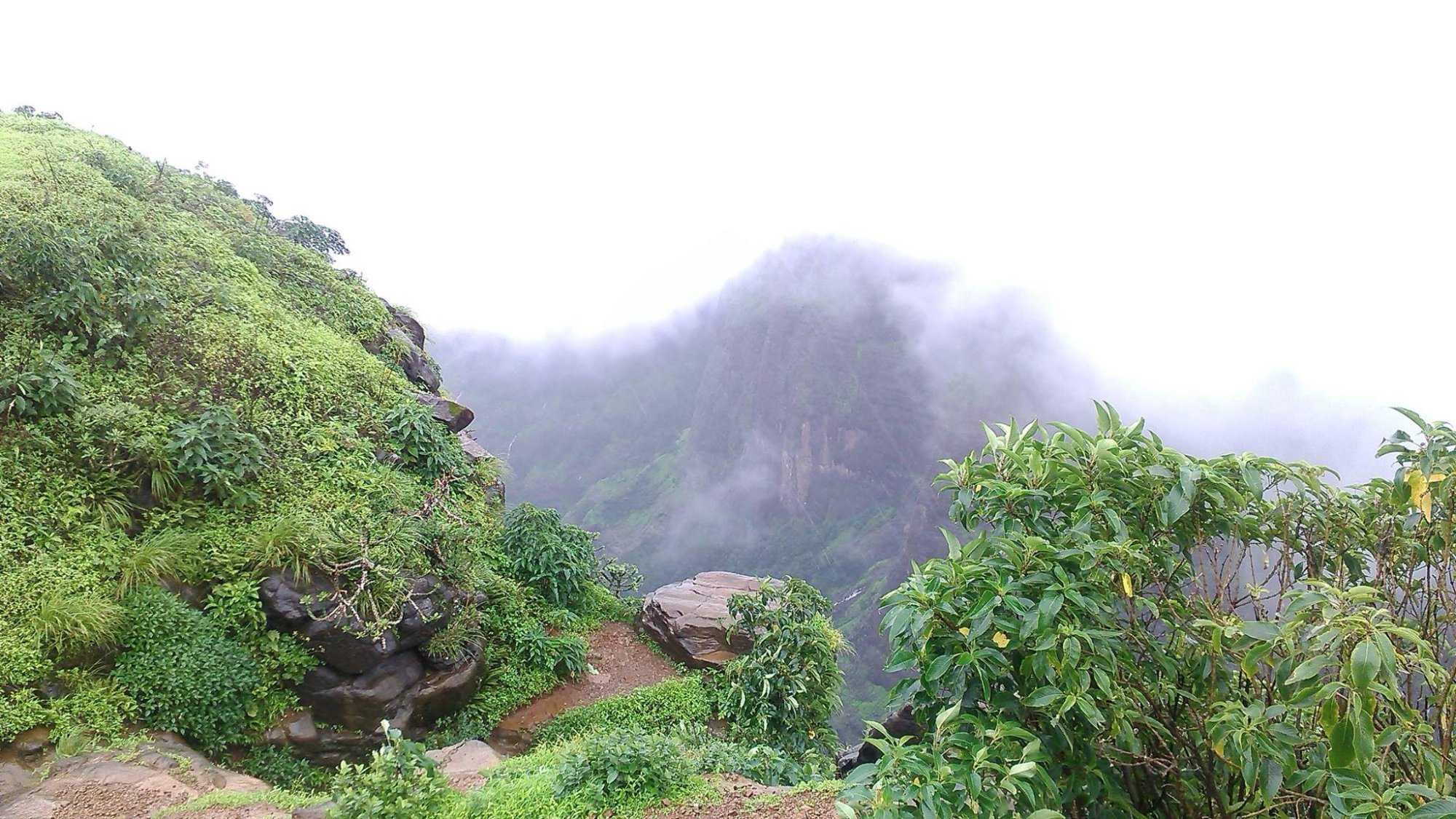 Western Ghats Photo 2