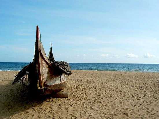 Cherai Beach Photo 5