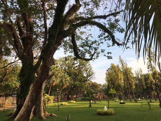 Subhash Park Photo 3