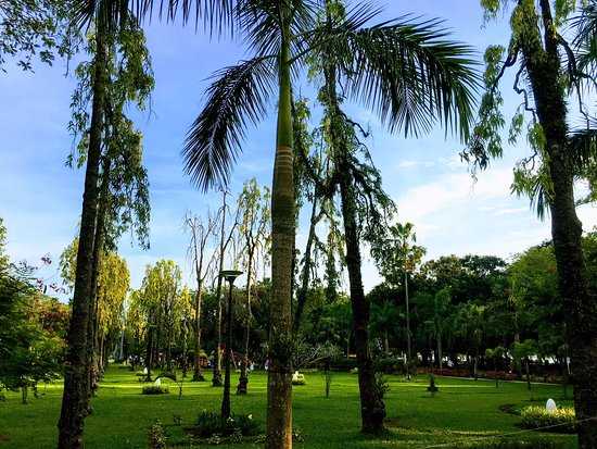 Subhash Park Photo 4