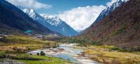 Chopta Valley Photo