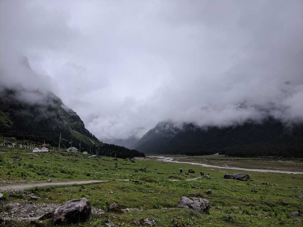 Yumthang Valley Photo 4
