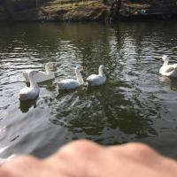 Bhulla Tal Lake Photo 2