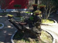 Darwan Singh Museum Photo 4