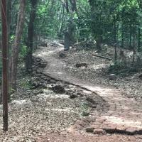 Alexander Point Photo 2