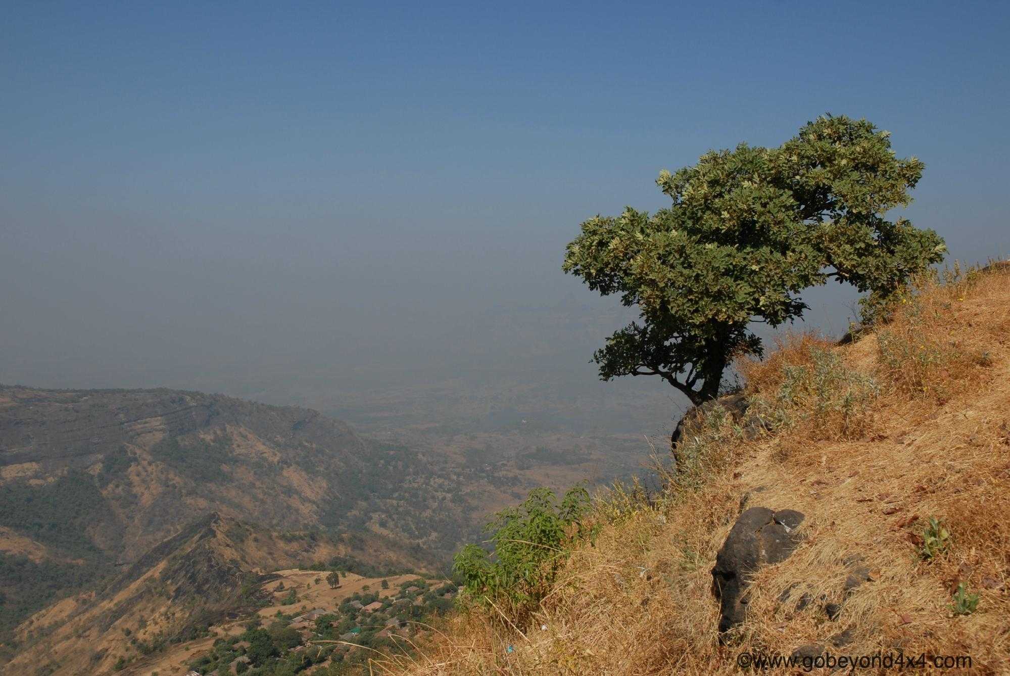 Louisa Point Photo 3