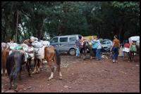 Panorama Point Photo 2