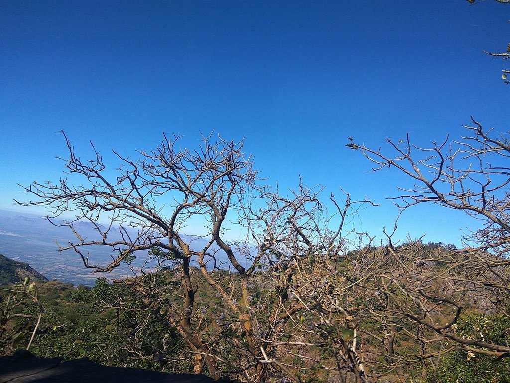 Baileys Walk Photo 4