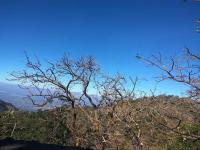 Baileys Walk Photo 4