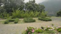 Himalayan Botanical Garden Photo