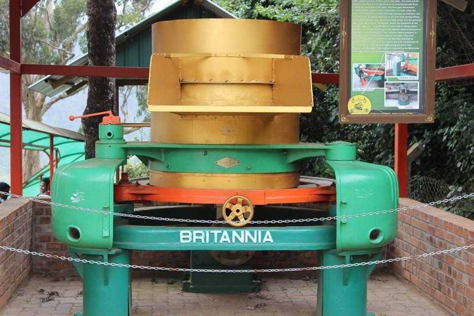Tea Museum Photo 2
