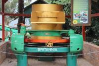 Tea Museum Photo 2