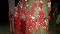 Naag Mandir Photo 3