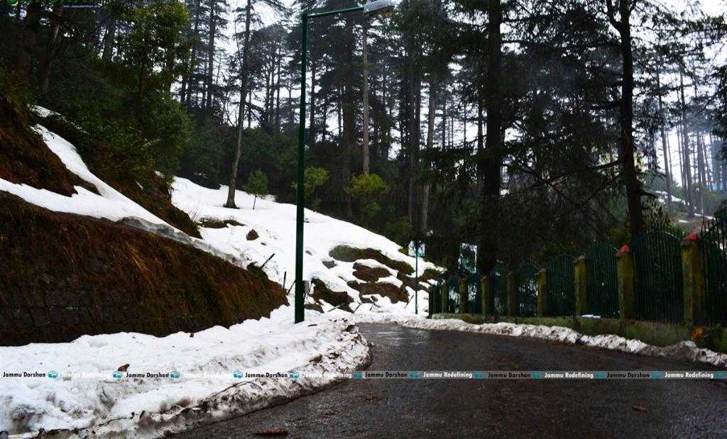 Patni Top Circular Road