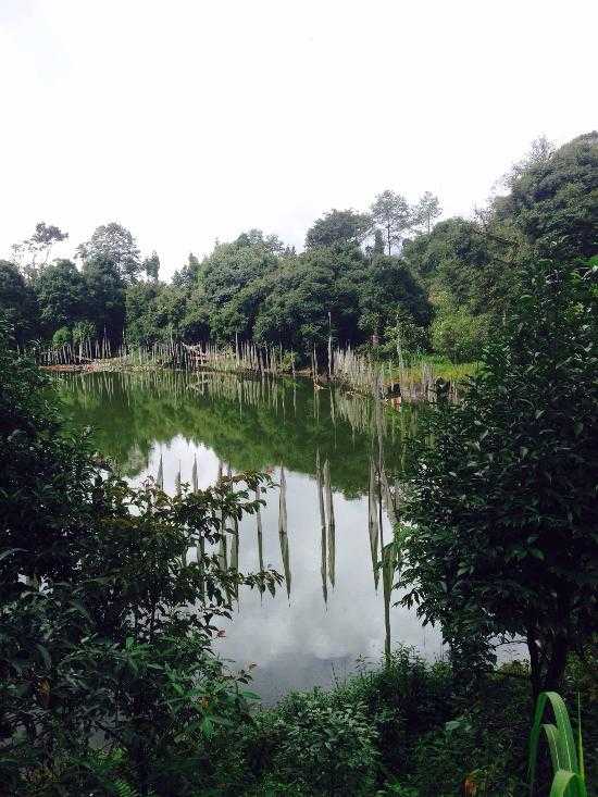 Kartok Lake Yuksom Photo 4