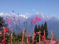 Ralong Monastery Ravangla Photo 3