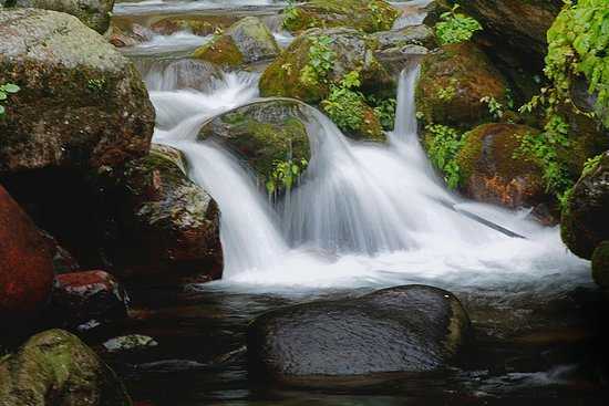 Sangay Falls Pelling Photo 3