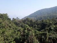 Daringbadi Photo 3