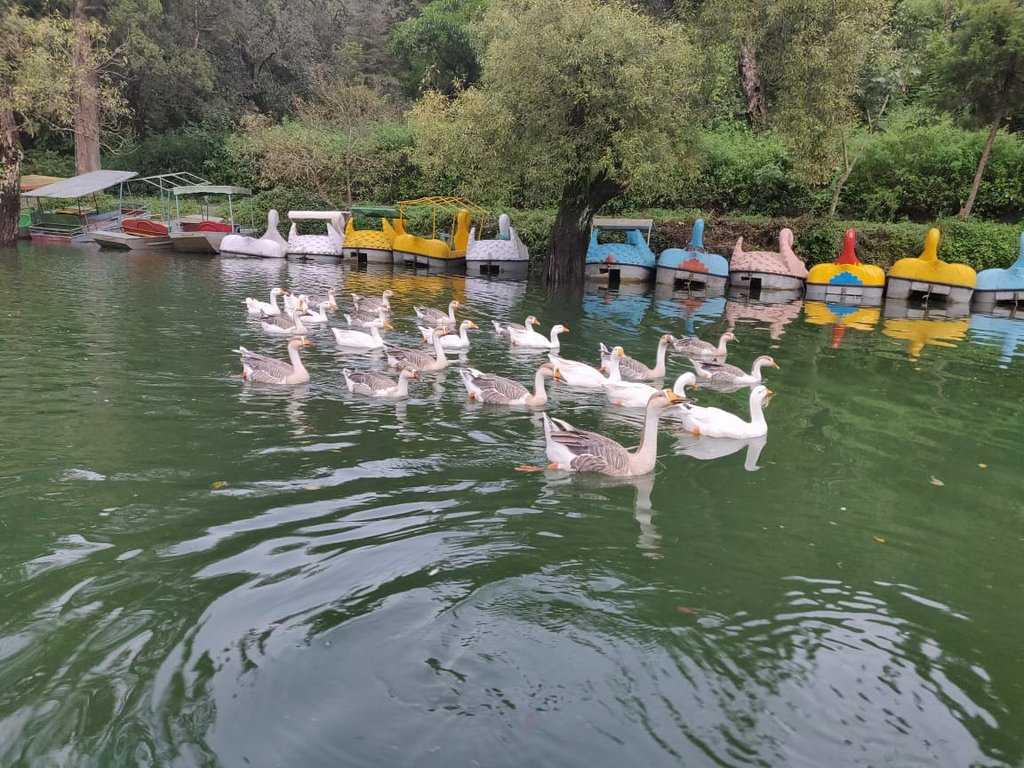 Naukuchia Taal Photo 1
