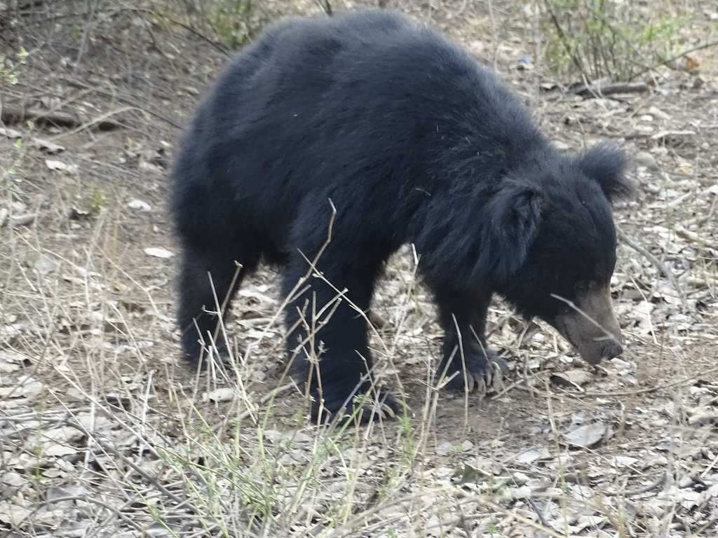 Kachida Valley Photo 1