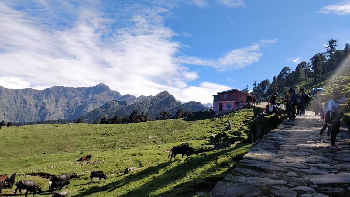 Chopta Photo 4