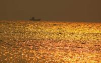 Somnath Beach Photo 1