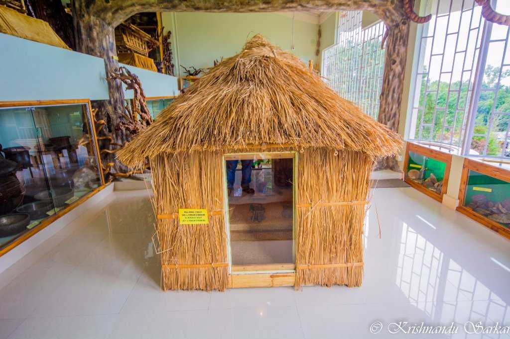 Ever Living Museum Photo 3