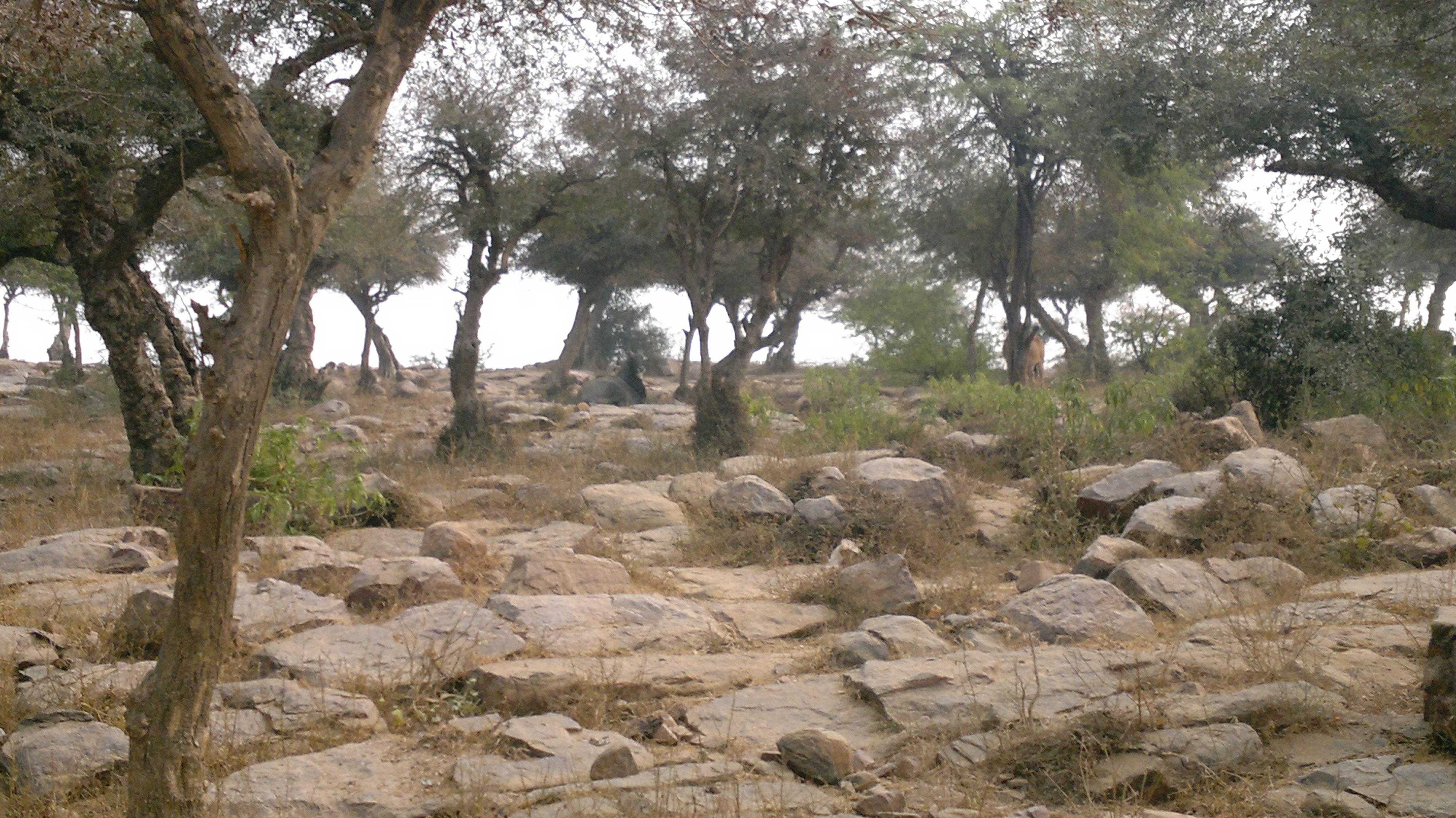 Govardhan Hill Mathura Photo 1